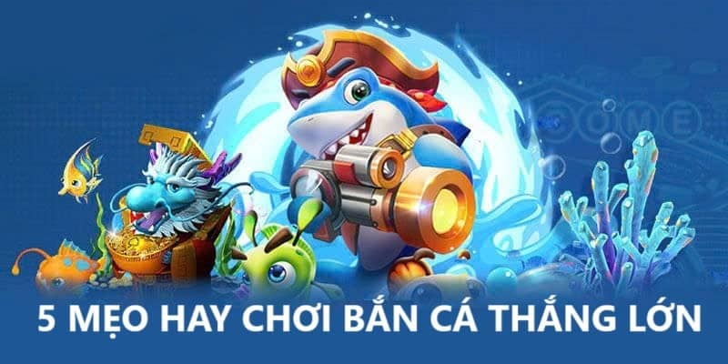 5 mẹo hay chơi bắn cá H5 thắng lớn 5 mẹo hay chơi bắn cá H5 thắng lớn