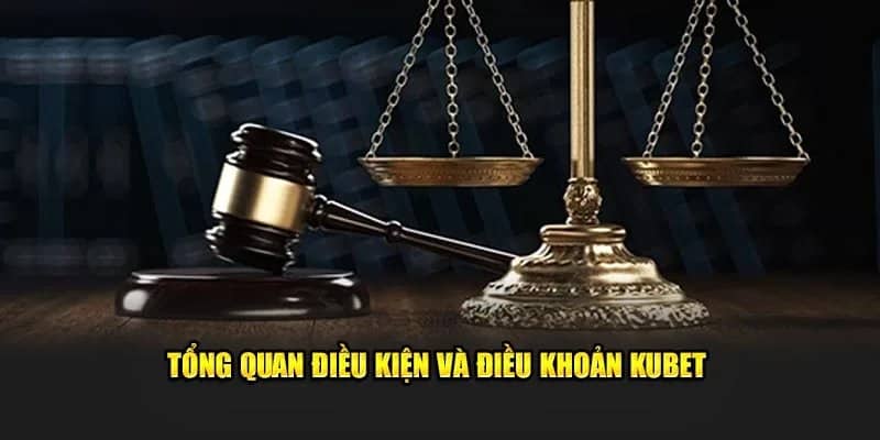 Quy định điều khoản điều kiện khi đăng ký Quy định điều khoản điều kiện khi đăng ký