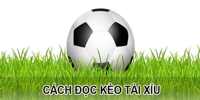 Kèo tài xỉu có cách tính tiền thưởng minh bạch, rõ ràng Kèo tài xỉu có cách tính tiền thưởng minh bạch, rõ ràng