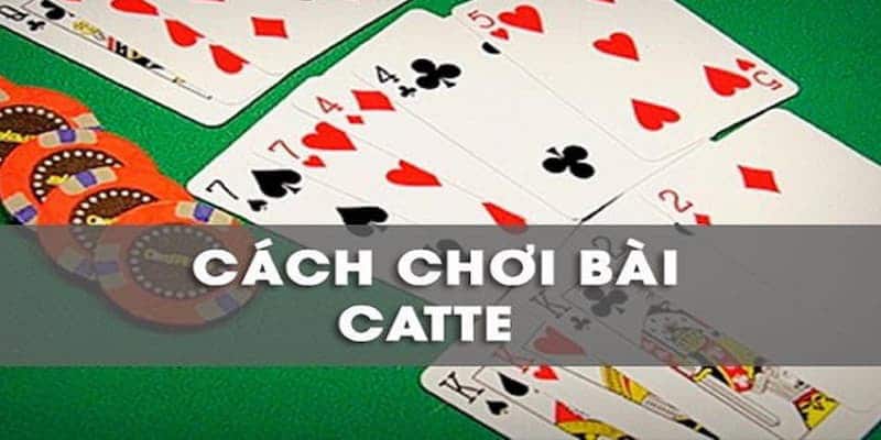 Hướng dẫn cách chơi bài cát tê cơ bản và quy luật đánh bài catte Kubet nâng cao