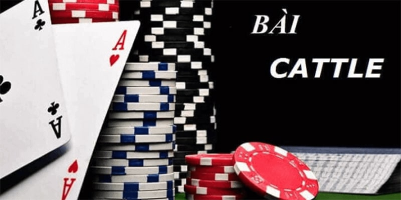 Một vài thông tin giới thiệu tổng quan về game bài cát tê