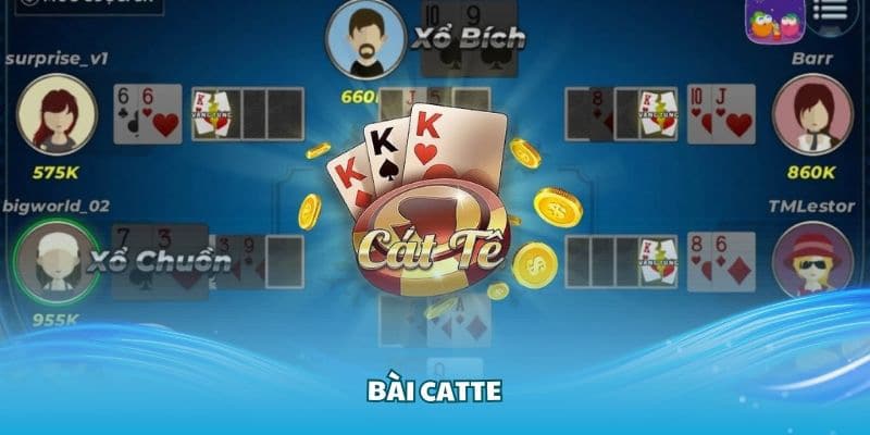 Chia sẻ một số kinh nghiệm chơi game bài catte tại KUBET chi tiết