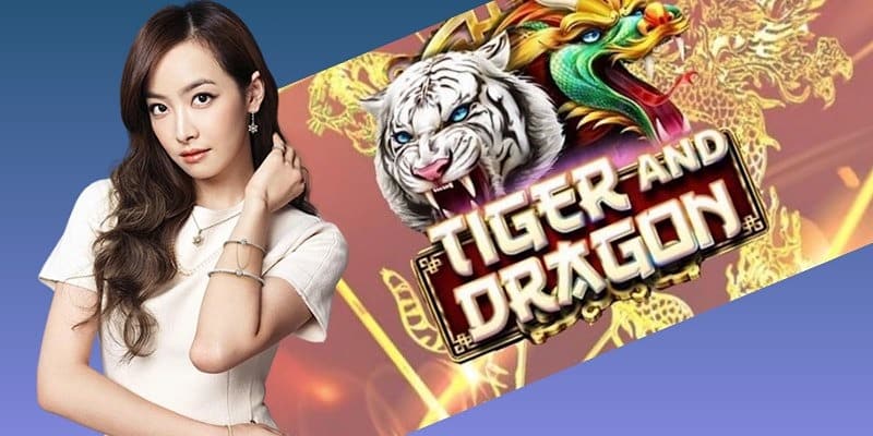 Luật Rồng hổ Kubet hấp dẫn