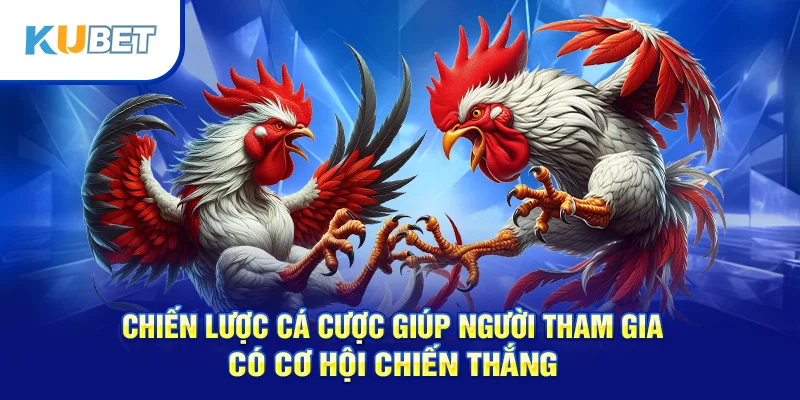 Chiến lược cá cược giúp người tham gia có cơ hội chiến thắng