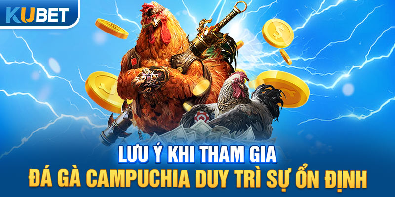 Lưu ý khi tham gia đá gà Campuchia duy trì sự ổn định