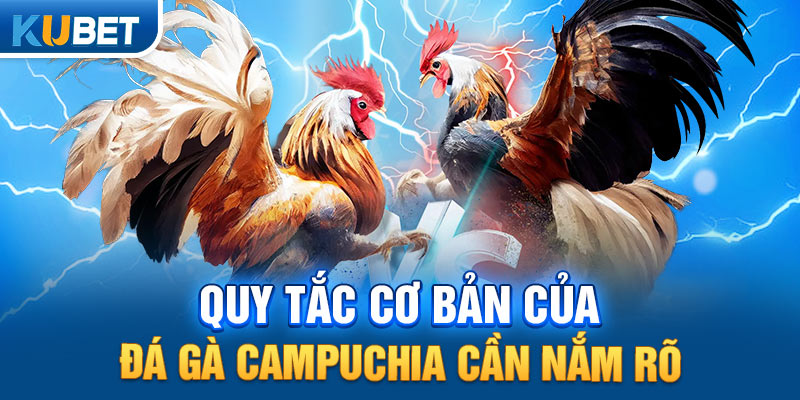 Quy tắc cơ bản của đá gà Campuchia cần nắm rõ